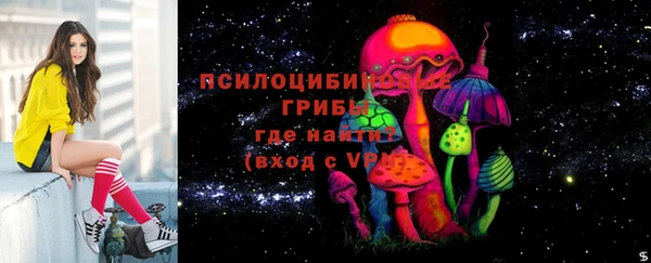 apvp Осташков